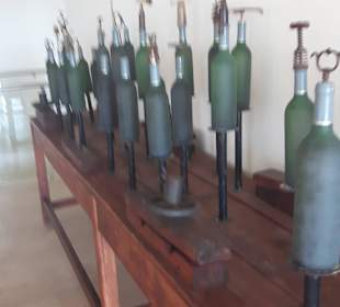 Führung Weinkellerei Boutari