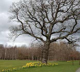Parque muy agradable