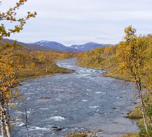 Das hat der Herbst zu bieten
