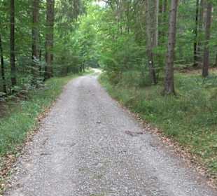 Altwege Rundwanderung Bebenhausen
