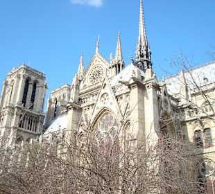 Notre Dame