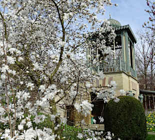 Wilhelma Stuttgart