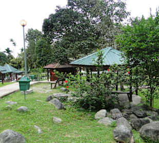 Poring Hot Springs - Schmetterlingsgarten