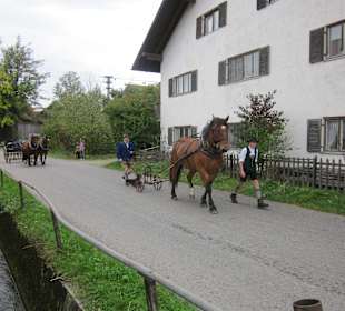 Fuhrwerk mit Pflug