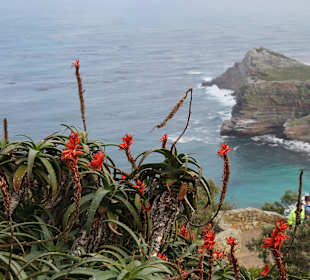 Cape Point