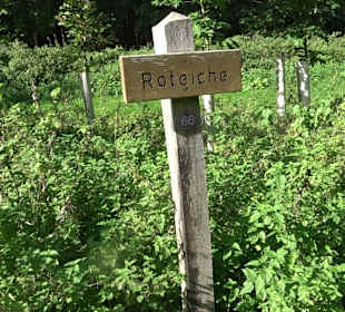 Arboretum Bondorf
