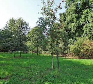 Impressionen aus dem Arboretum Wildeshausen