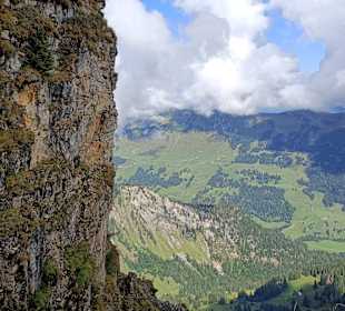 Diedamskopf