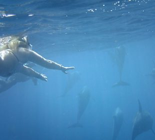 Delphintour mit Susi