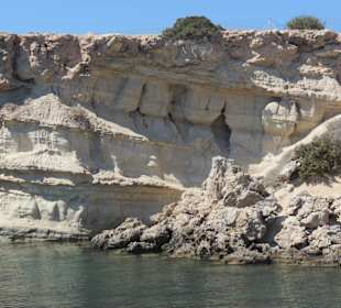Schönheiten der Natur!