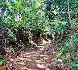 Parque Natural Obô do Príncipe