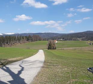 Wandern Ulrichsberg