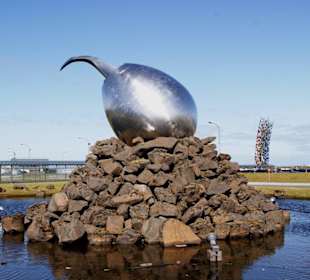 Keflavík International Airport - Kunst: "Jet Nest"