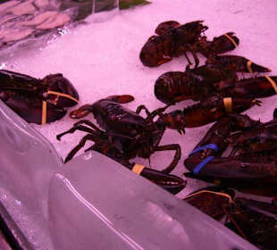 Jede Menge Seafood, ganz frisch