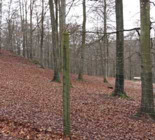 Wildpark Eichert