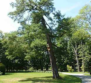 Museum und Park von Jan Kochanowski