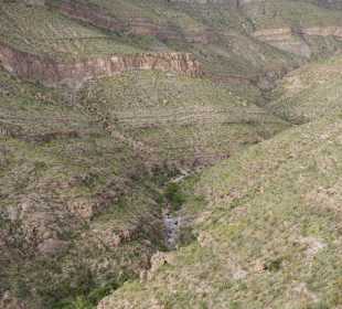Blick vom Trail in den Canyon hinein