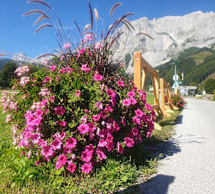 Wandern Ramsau am Dachstein