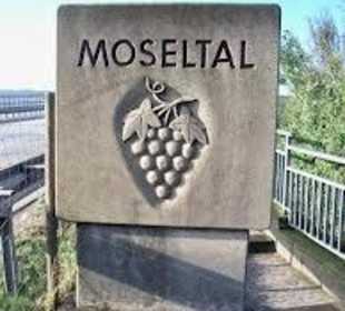 An der Moseltalbrücke Dieblich- Winningen