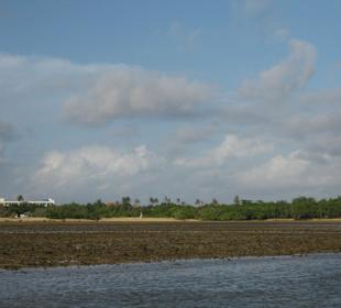 Blick auf die Insel