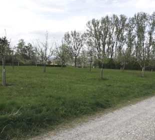 Wanderweg Firstwaldrunde