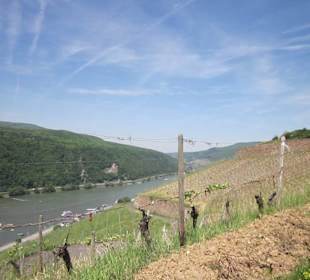 Impressionen Kräuterweg in Assmannshausen