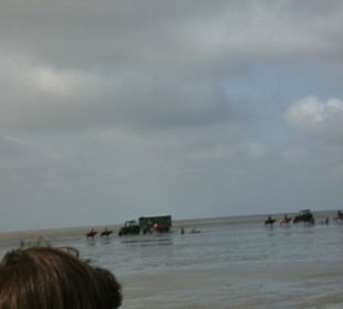 Watt-Highway: Trecker von Neuwerk nach Sahlenburg