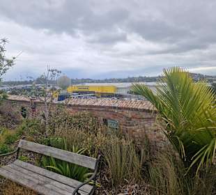 Hundertwasser Art Centre