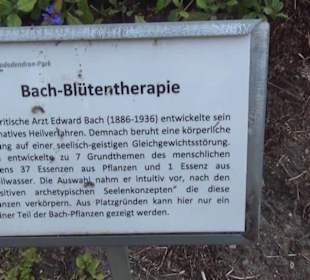 Botanischer Garten