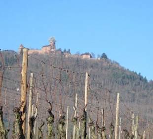 Die Haut Königsburg aus der Ferne