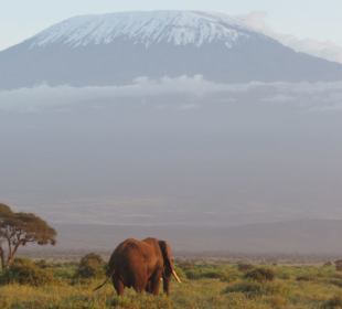 Amboseli Nationalpark