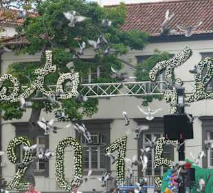 Friedenstauben zum Kinderumzug