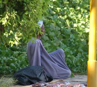 Händler am Ausgang des botanischen Gartens