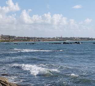 Ausflug zum Hafen in Pafos
