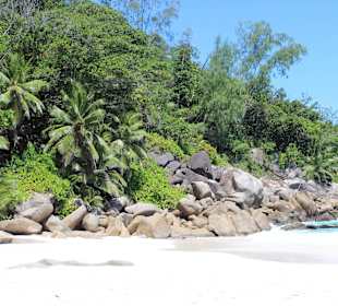 Wunderschöner Strand von Granitfelsen eingerahmt
