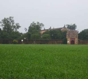 Große Rasenflächen ...