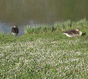 Unterer Schlossgarten Stuttgart