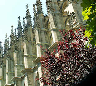 Chram Sv. Barbory-detail