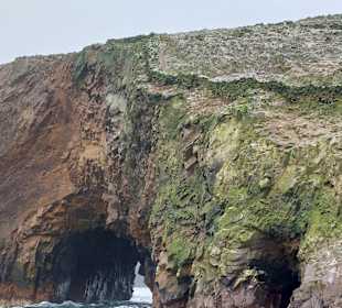 Ausflug Ballestas Inseln