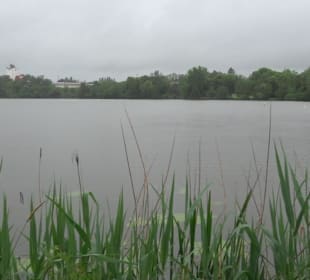 Stadtsee