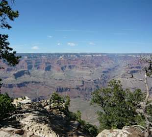 South Rim Grand Canyon N.P.