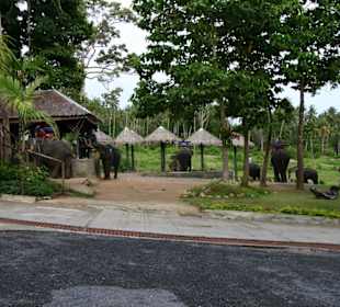 Landschaft Kho Samui