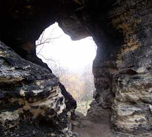 Tisá