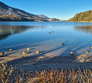 Wandern Fuschl am See
