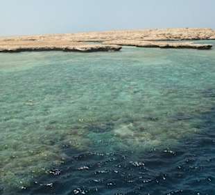 Tauchausflug mit Regina