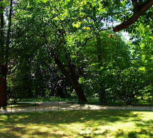 Exotische Pflanzenbereiche