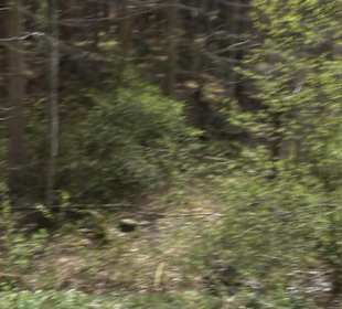 Fäulbachtal