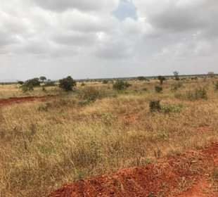 Shimba Hillsg