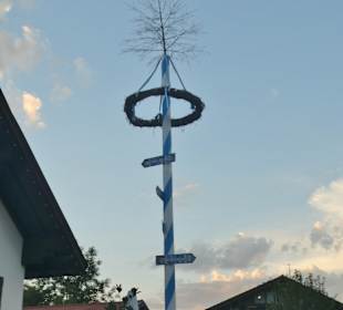 Abendessen im Biergarten vom Wilde Männle