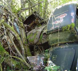 Autofriedhof am Foxen